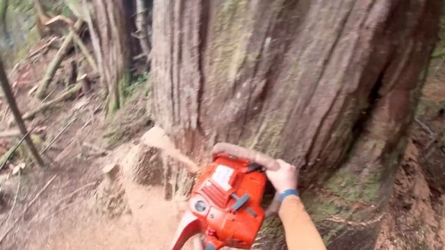GoPro Heli Logging | TRIGVI.COM смотреть онлайн