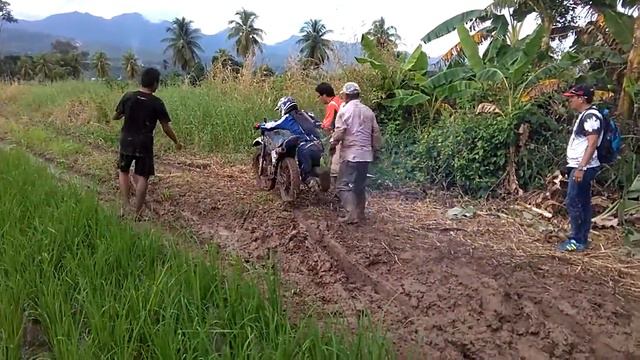 Mariano Torres #16 смотреть онлайн