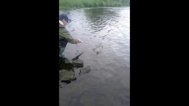 Рыбалка - Огромный голавль на самодельную блесну. Drill den riesiege Döbel смотреть онлайн