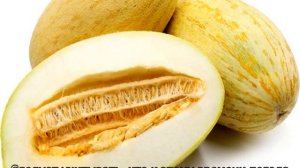 Выращивание дыни в Сибири в открытом грунте