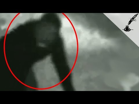 5 Mysterious Creatures Caught On Camera