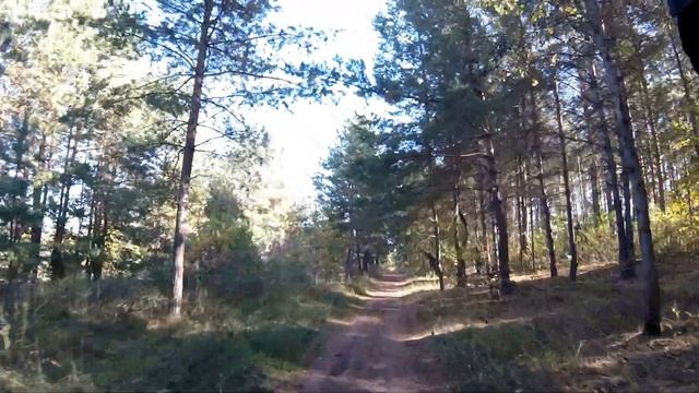 Поездка на WS Mini Light с АКБ заряженной до 60В. Неудачная ч.2 информативная. смотреть онлайн
