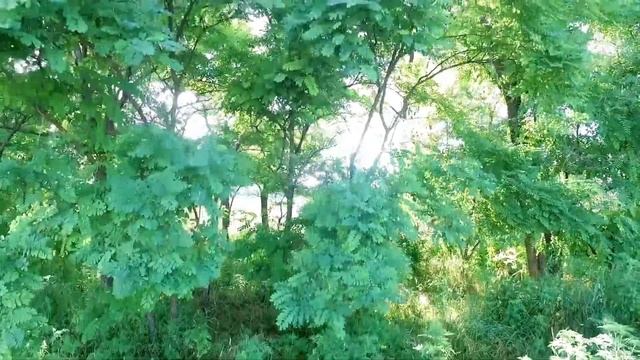 Полет по клевым местам смотреть онлайн