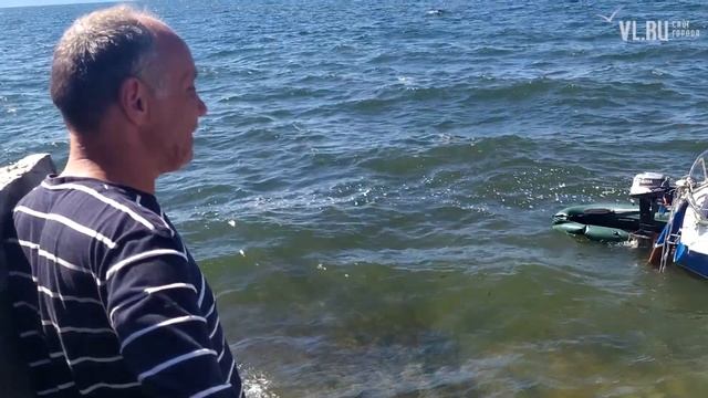 VL.ru - во Владивостоке прибило к берегу неисправный парусник с мужчинами на борту смотреть онлайн