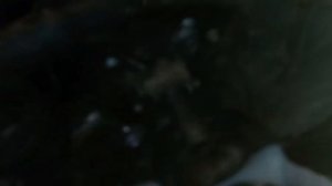 Замена Водяного насоса (Помпа) ивеко дейли