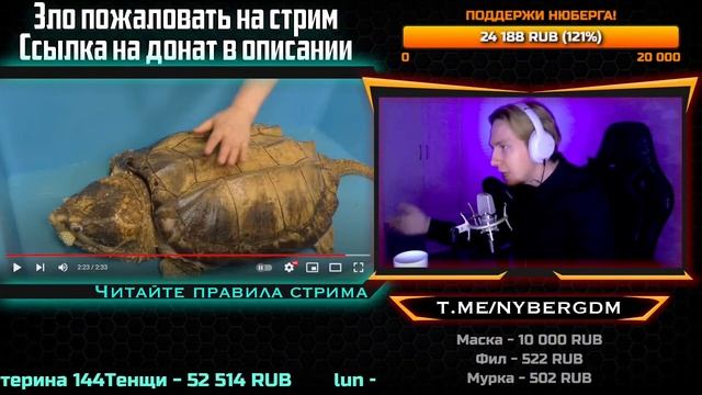 АВТОРСКОЕ ПРАВО НАДО МЕНЯТЬ! За что удалили разбор альбома Great Depression? смотреть онлайн
