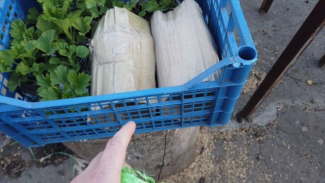 Нестандартная запаковка посылки. ОЧЕНЬ УДОБНО! смотреть онлайн