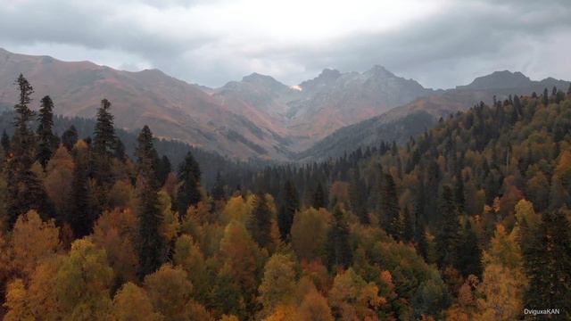 День дружбы и радости