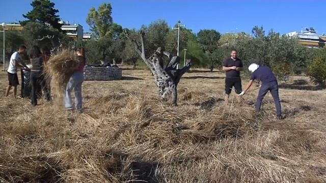 ΠΡΩΤΟΒΟΥΛΙΑ ΤΗΣ ΚΝΕ ΓΙΑ ΚΑΘΑΡΙΣΜΟ ΤΟΥ ΠΑΡΚΟΥ ΤΡΙΤΣΗ смотреть онлайн