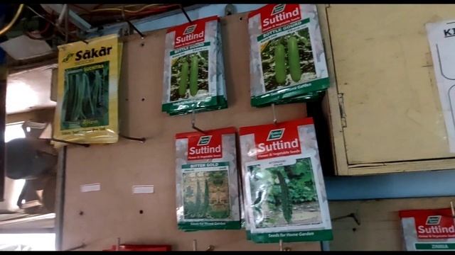 Ума не приложу! Ну что может вырасти , когда на улице ПЕКЛО!Как спасти растения ! смотреть онлайн