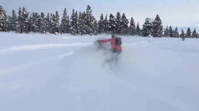 Lynx 49 Ranger 900 ACE - First run смотреть онлайн