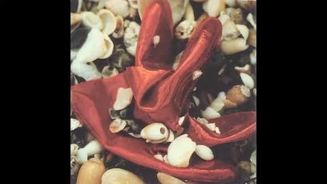 Atom Heart - Shell (1996) смотреть онлайн