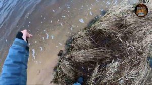 ЛОВЛЯ НАЛИМА И СУДАКА по открытой воде!!!