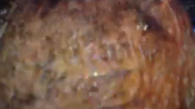 Рыба-собака.MP4 смотреть онлайн