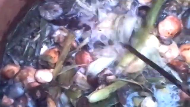 Компостной куче альтернатива - тёплая грядка смотреть онлайн