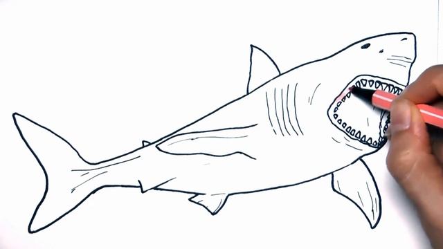 Shark Drawing and Coloring Pages for Children - Megalodon Dinosaur Coloring Page смотреть онлайн