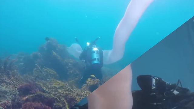 Неизвестное гигантское существо похожее на червя поднялось со дна океана! смотреть онлайн