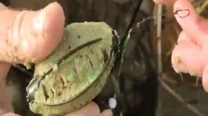 Ловля КРУПНОГО КАРАСЯ на БУТЫЛКИ!