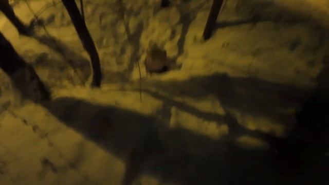 Приключение на Хэллоуин: Куда Делись Наши Орехи? ??️♂️ смотреть онлайн