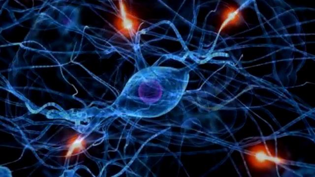 Запоминание английских слов. Видео уроки английского смотреть онлайн