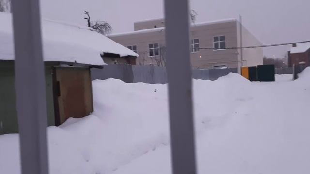 город Коломна. район Запруды. Улица Малинское шоссе. Птичий рынок. смотреть онлайн