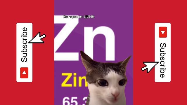 КОТ СМЕШНО ГРЫЗЕТ РАЗНЫЕ ПРЕДМЕТЫ ЧАСТЬ 1 | СБОРНИК Кота КОТОРЫЙ Грызет | Мем из ТИК ТОКА смотреть онлайн