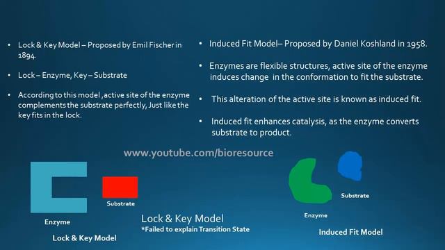Lock and key model & Induced Fit model - Enzyme Catalysis "Short Note! - 2mins" смотреть онлайн