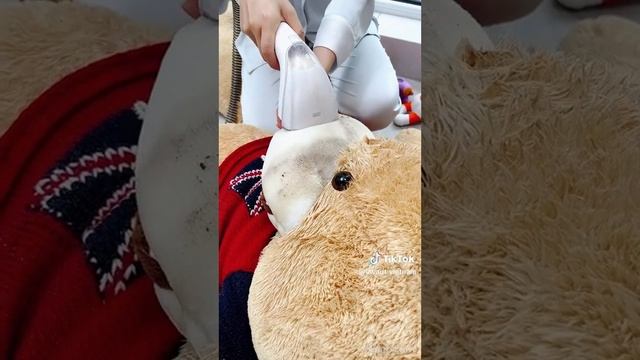 UWANT B200 SUCTION STEAM VACUUM CLEANER MESIN PEMBERSIH + FITUR UAP PANAS