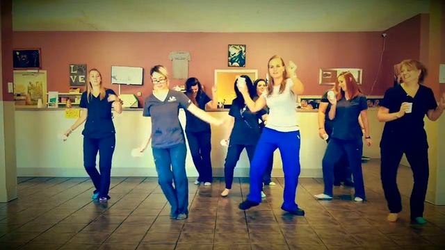 Gause Blvd Vet Hospital Git Up Challenge смотреть онлайн