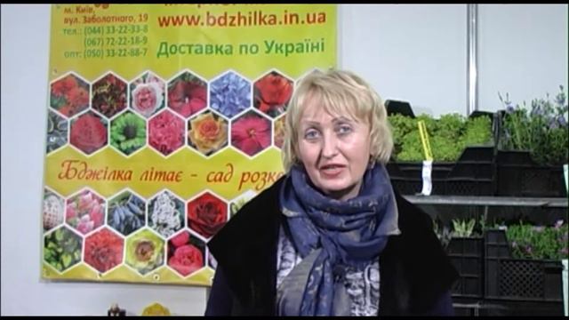 Sadoviy Sentr Bdjilka смотреть онлайн