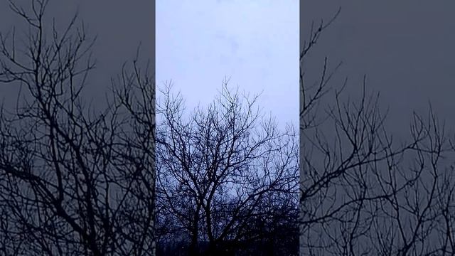 Все приходящее,а музыка вечна🎼🎼🎼Харьков 26 марта 2022