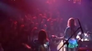 Гражданская оборона   Апельсин Электричество  всем фанам