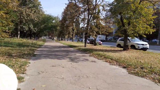 23.09.23 Алабай Булат гуляет по городу смотреть онлайн