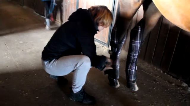 VLOG | СОРЕВНОВАНИЯ смотреть онлайн