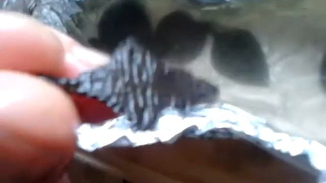 Поиск монет ..находки.. смотреть онлайн