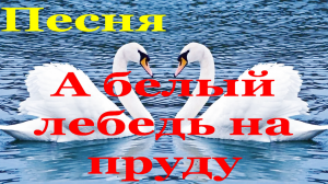 Песня А белый лебедь на пруду