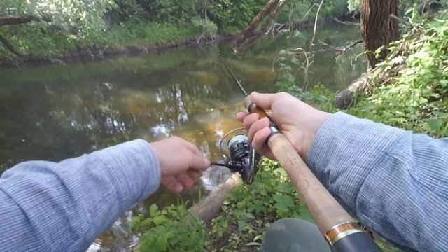 Голавль на лесной, малой реке! Chub on the forest, small river! смотреть онлайн