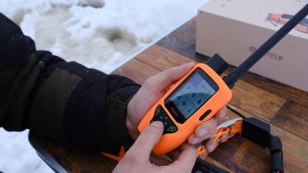 Обзор и распаковка. GPS Ошейник ARTELV TRACKER SOLO для городских и охотничьих собак. Моё мнение?