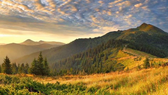 Сура Аль-Араф Хани Ар-Рифаи смотреть онлайн
