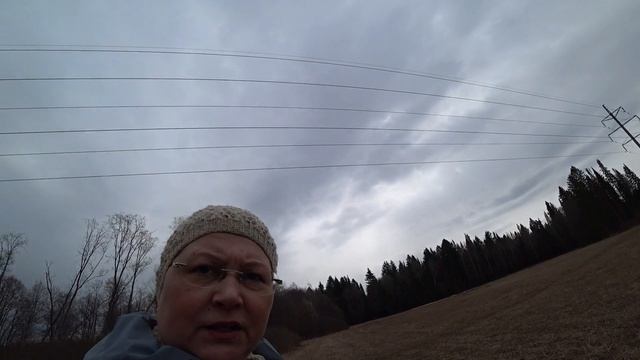 В лес 24 апр 2023 1ч смотреть онлайн