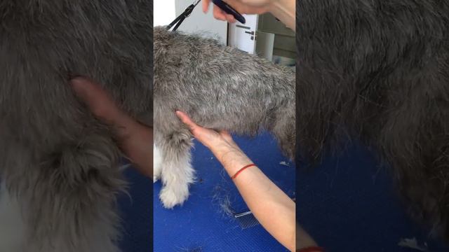 Керричкин бочок и новая щипалка смотреть онлайн