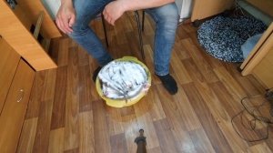 Как правильно вялить щуку.