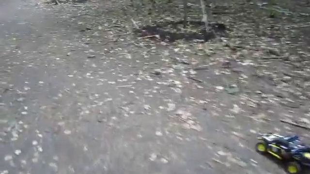 Lizard Race смотреть онлайн