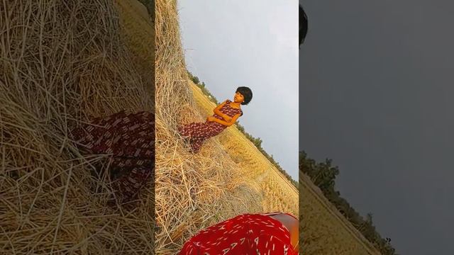 Gari nebo frege nebo смотреть онлайн