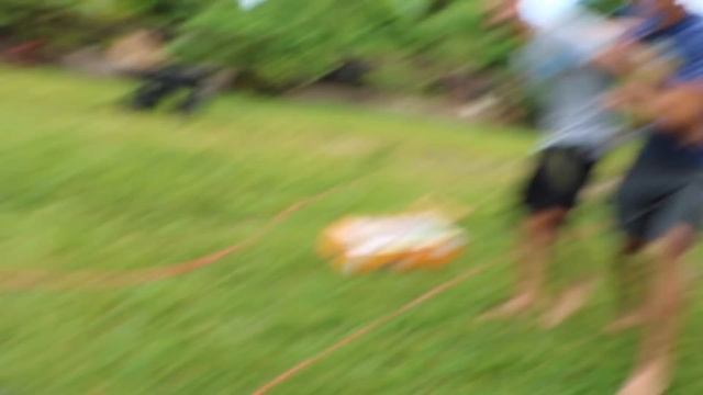 Crocodile Kit Comes ALIVE With Water!! смотреть онлайн