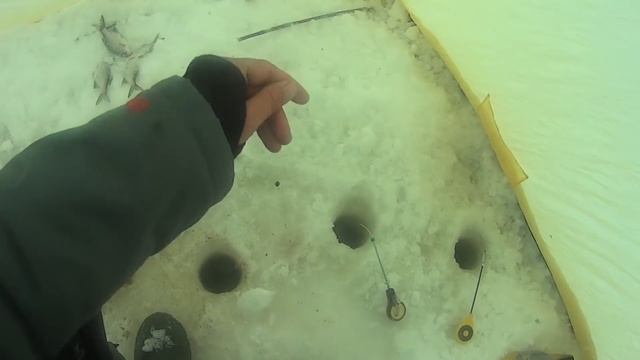 ЛОВЛЯ НА ОСНАСТКУ ДЛЯ ПАССИВНОЙ РЫБЫ ПРИ ПОВЫШЕННОМ ДАВЛЕНИИ смотреть онлайн