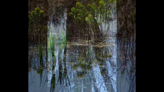 Белица смотреть онлайн