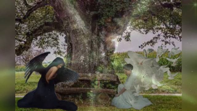 Мрак и Свет