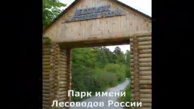 Октябрьский район.wmv смотреть онлайн