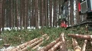 Timber Pro TN 725С  Харвестер гусеничный
